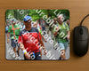 Evenement foto: Nijmeegse Vierdaagse 954