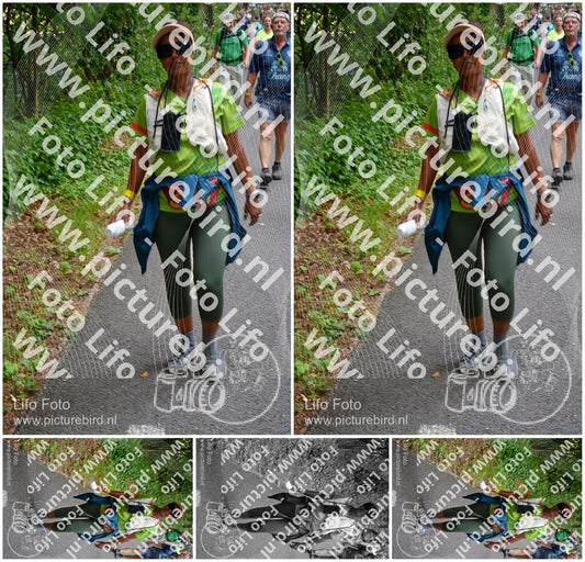 Evenement foto: Nijmeegse Vierdaagse 954