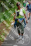 Evenement foto: Nijmeegse Vierdaagse 954