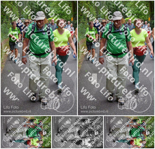 Evenement foto: Nijmeegse Vierdaagse 954