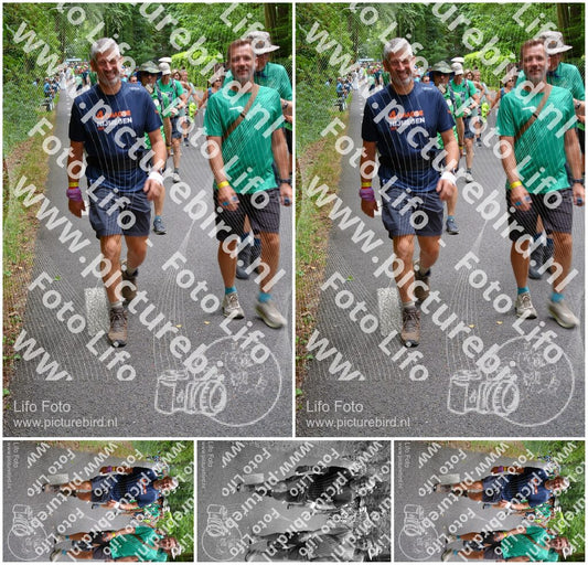 Evenement foto: Nijmeegse Vierdaagse 954