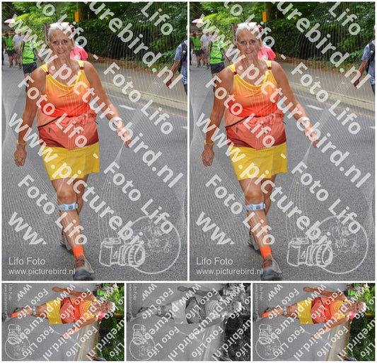 Evenement foto: Nijmeegse Vierdaagse 953