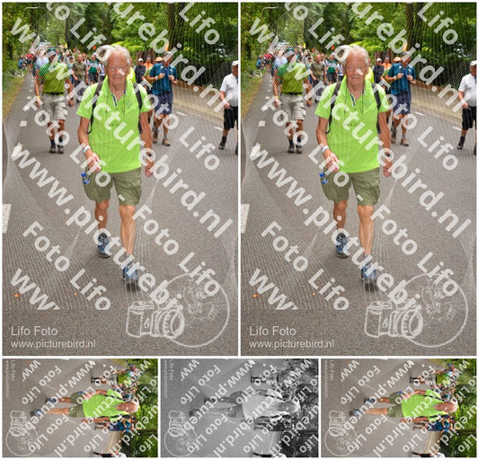 Evenement foto: Nijmeegse Vierdaagse 953