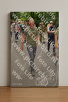 Evenement foto: Nijmeegse Vierdaagse 953