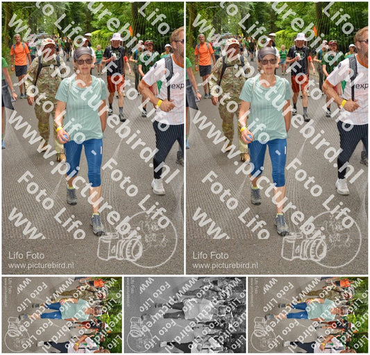 Evenement foto: Nijmeegse Vierdaagse 953