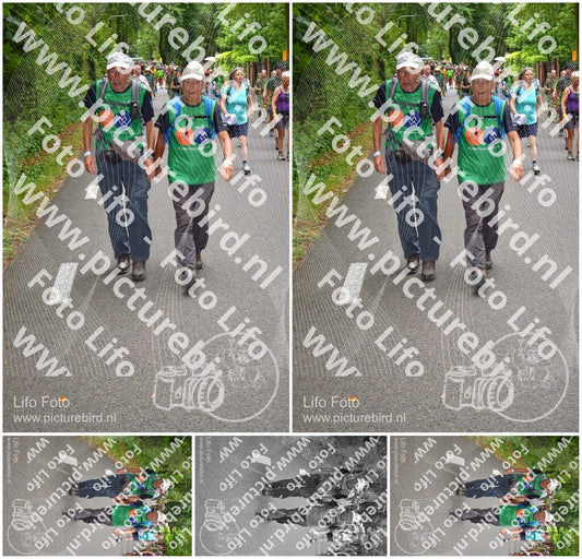 Evenement foto: Nijmeegse Vierdaagse 953