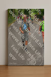 Evenement foto: Nijmeegse Vierdaagse 953