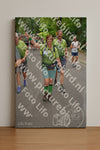 Evenement foto: Nijmeegse Vierdaagse 953