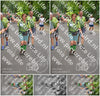 Evenement foto: Nijmeegse Vierdaagse 953