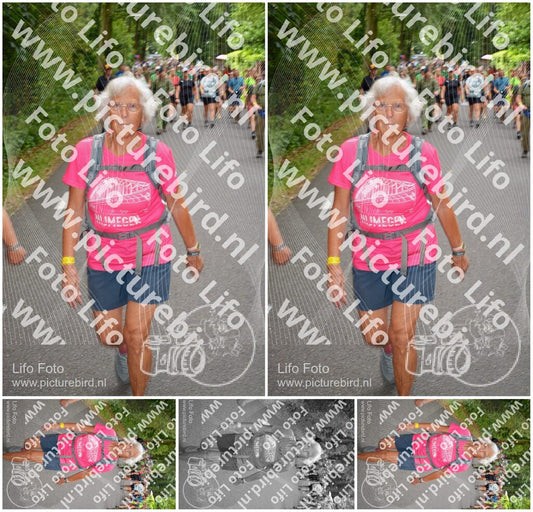 Evenement foto: Nijmeegse Vierdaagse 953