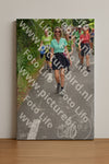 Evenement foto: Nijmeegse Vierdaagse 953