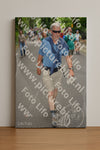 Evenement foto: Nijmeegse Vierdaagse 953