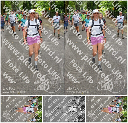 Evenement foto: Nijmeegse Vierdaagse 953