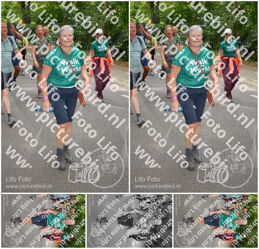 Evenement foto: Nijmeegse Vierdaagse 953