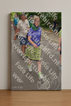 Evenement foto: Nijmeegse Vierdaagse 953