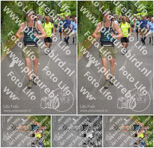 Evenement foto: Nijmeegse Vierdaagse 953