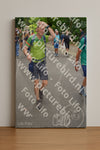 Evenement foto: Nijmeegse Vierdaagse 953