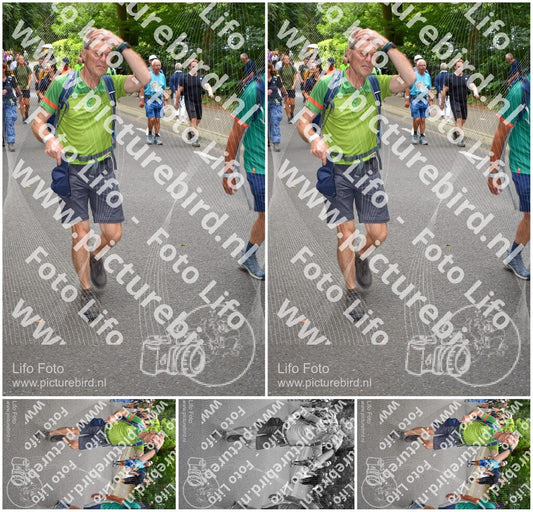 Evenement foto: Nijmeegse Vierdaagse 953