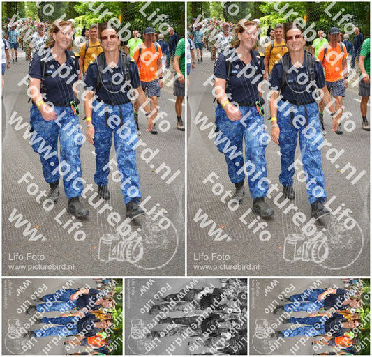 Evenement foto: Nijmeegse Vierdaagse 953