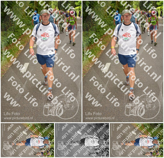 Evenement foto: Nijmeegse Vierdaagse 953