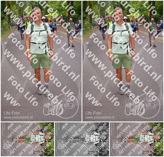 Evenement foto: Nijmeegse Vierdaagse 953
