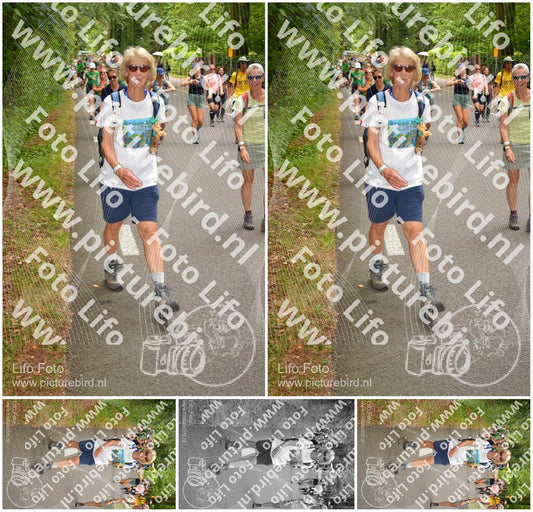 Evenement foto: Nijmeegse Vierdaagse 953