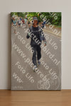 Evenement foto: Nijmeegse Vierdaagse 953