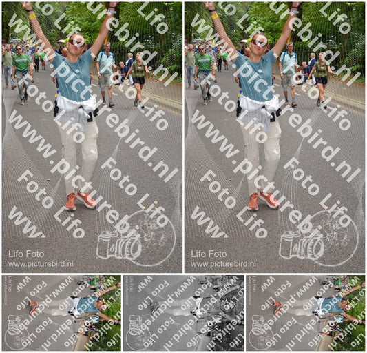 Evenement foto: Nijmeegse Vierdaagse 953