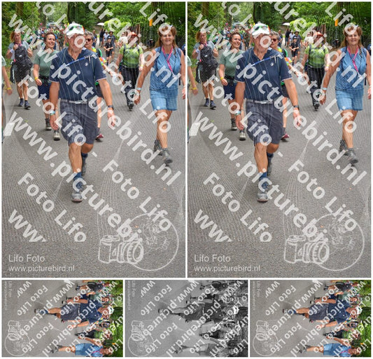 Evenement foto: Nijmeegse Vierdaagse 953