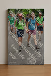Evenement foto: Nijmeegse Vierdaagse 953
