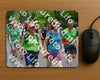 Evenement foto: Nijmeegse Vierdaagse 953