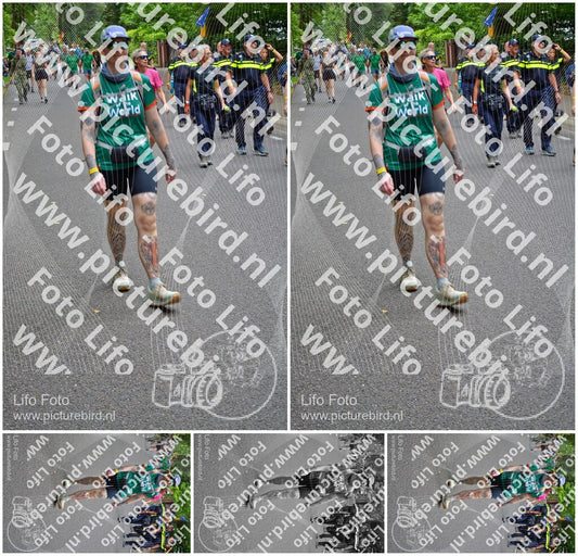 Evenement foto: Nijmeegse Vierdaagse 953