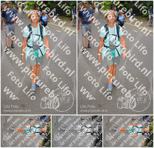 Evenement foto: Nijmeegse Vierdaagse 953