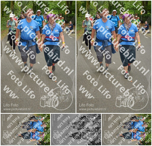 Evenement foto: Nijmeegse Vierdaagse 953