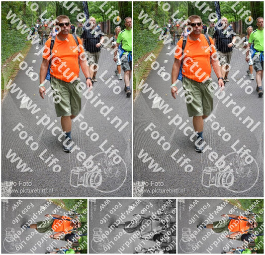 Evenement foto: Nijmeegse Vierdaagse 953