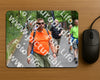 Evenement foto: Nijmeegse Vierdaagse 953
