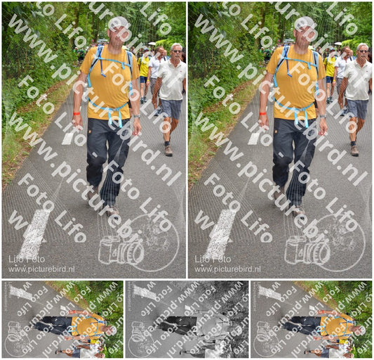 Evenement foto: Nijmeegse Vierdaagse 953