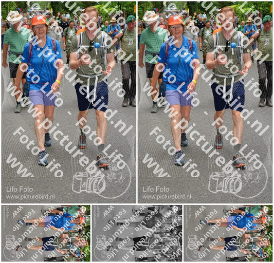 Evenement foto: Nijmeegse Vierdaagse 952