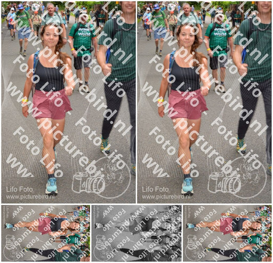 Evenement foto: Nijmeegse Vierdaagse 952