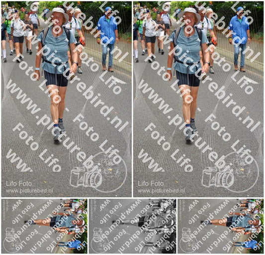 Evenement foto: Nijmeegse Vierdaagse 952