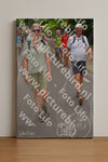 Evenement foto: Nijmeegse Vierdaagse 952