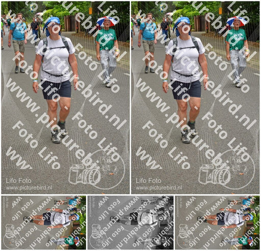 Evenement foto: Nijmeegse Vierdaagse 952