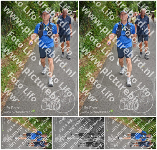 Evenement foto: Nijmeegse Vierdaagse 952