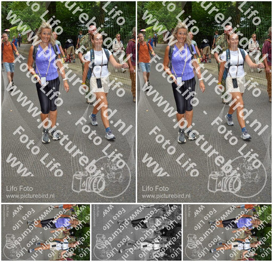 Evenement foto: Nijmeegse Vierdaagse 952