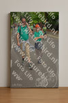 Evenement foto: Nijmeegse Vierdaagse 952