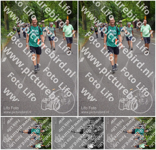 Evenement foto: Nijmeegse Vierdaagse 952