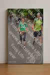 Evenement foto: Nijmeegse Vierdaagse 952