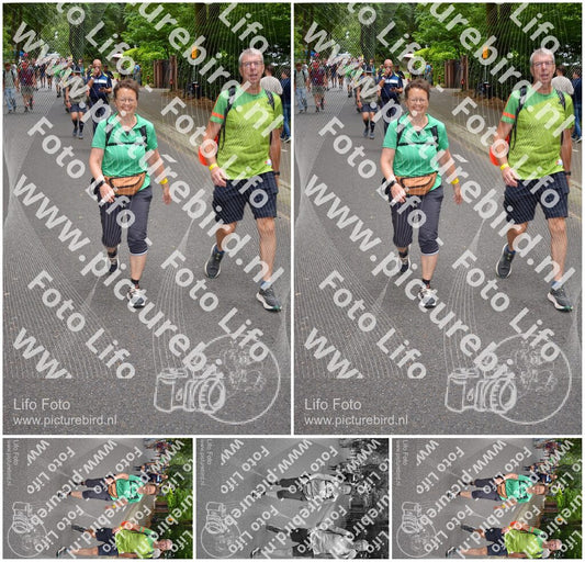 Evenement foto: Nijmeegse Vierdaagse 952
