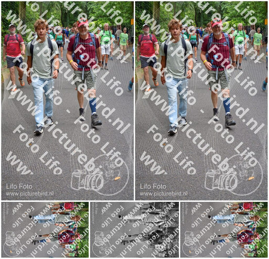 Evenement foto: Nijmeegse Vierdaagse 952