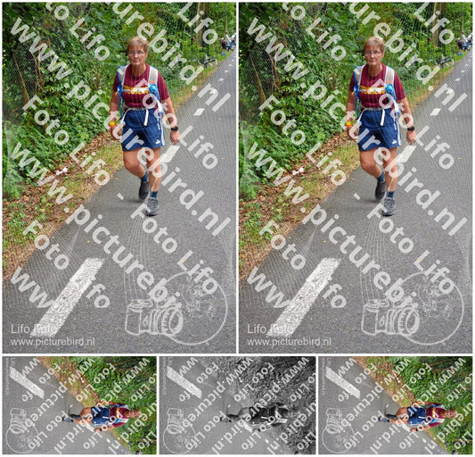 Evenement foto: Nijmeegse Vierdaagse 952